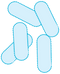 Bacteria PNG Picture