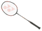 Badminton PNG Picture