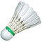 Badminton Transparent