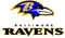 Baltimore Ravens PNG Image