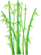 Bamboo PNG File