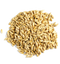 Barley Grain PNG Free Download