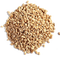 Barley Grain PNG Image