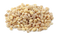 Barley Grain PNG