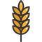 Barley PNG File