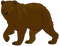 Bear PNG 10
