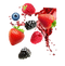 Berries PNG Clipart