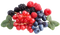 Berries PNG File