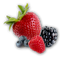 Berries PNG Image File