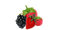 Berries PNG Photo