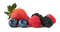 Berries PNG Pic