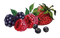 Berries PNG