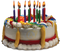 Birthday Cake PNG Pic