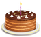 Birthday Cake PNG Picture