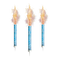 BirtHDay Candles PNG