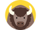 Bison PNG Free Download