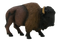 Bison PNG Image File