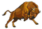 Bison PNG Images