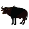 Bison PNG Pic