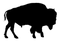 Bison Silhouette