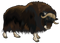 Bison Transparent