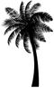 Black Coconut Tree PNG Free Download