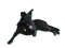 Black Dog PNG HD Image