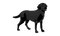 Black Dog PNG Image