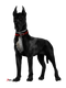 Black Dog PNG Images