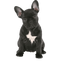 Black French Bulldog Transparent