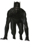 Black Panther PNG Pic