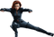 Black Widow Free Download PNG