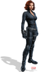 Black Widow PNG Image