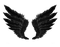 Black Wings PNG Free Image