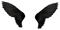 Black Wings PNG Image