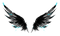 Black Wings PNG Picture