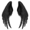 Black Wings Transparent