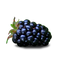 Blackberry Fruit PNG File