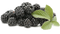 Blackberry Fruit PNG Picture