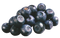 Blackcurrant Fruit PNG