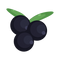 Blackcurrant Fruit Transparent