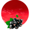 Blackcurrant PNG Clipart