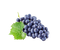 Blackcurrant PNG Free Image