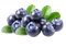 Blackcurrant PNG HD Image