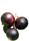 Blackcurrant PNG Image