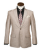 Blazer Transparent