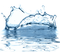 Blue Splash Water PNG High Quality Image