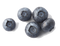 Blueberries PNG File