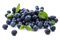 Blueberries PNG Free Download