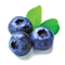 Blueberries PNG Free Image